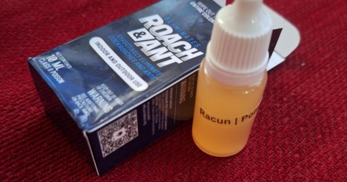 Roach & Ant Gel Bait Umpan Semut Lipas Berkesan Ant Bait Gel Cockroach Control Ubat Semut 蚂蚁药 螞蟻藥